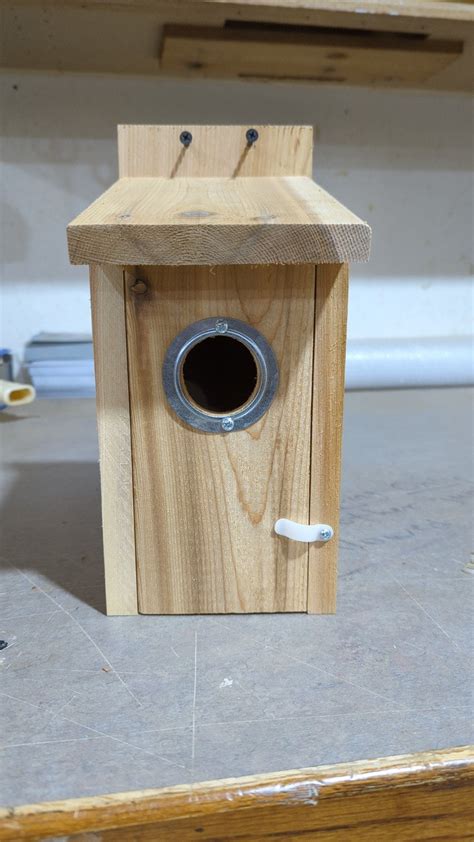 bluebird house metal hole protector